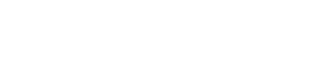 Porter Airlines Logo